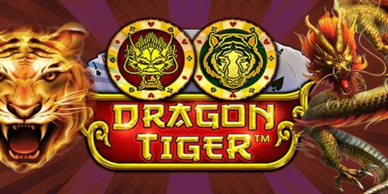 Lý do nên chọn chơi Rồng hổ tại bk8